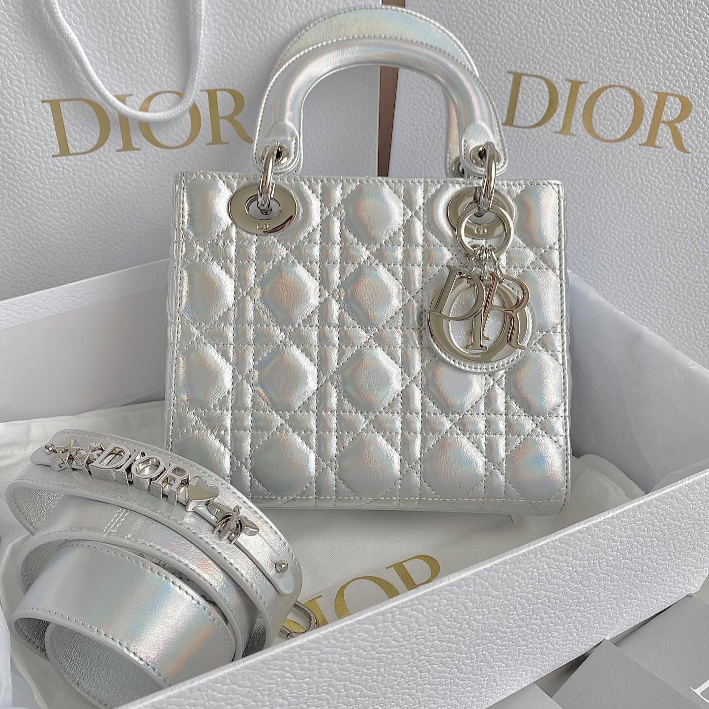 DIOR MEDIUM LADY 20 HANDBAG IN SILVER LAMBSKIN