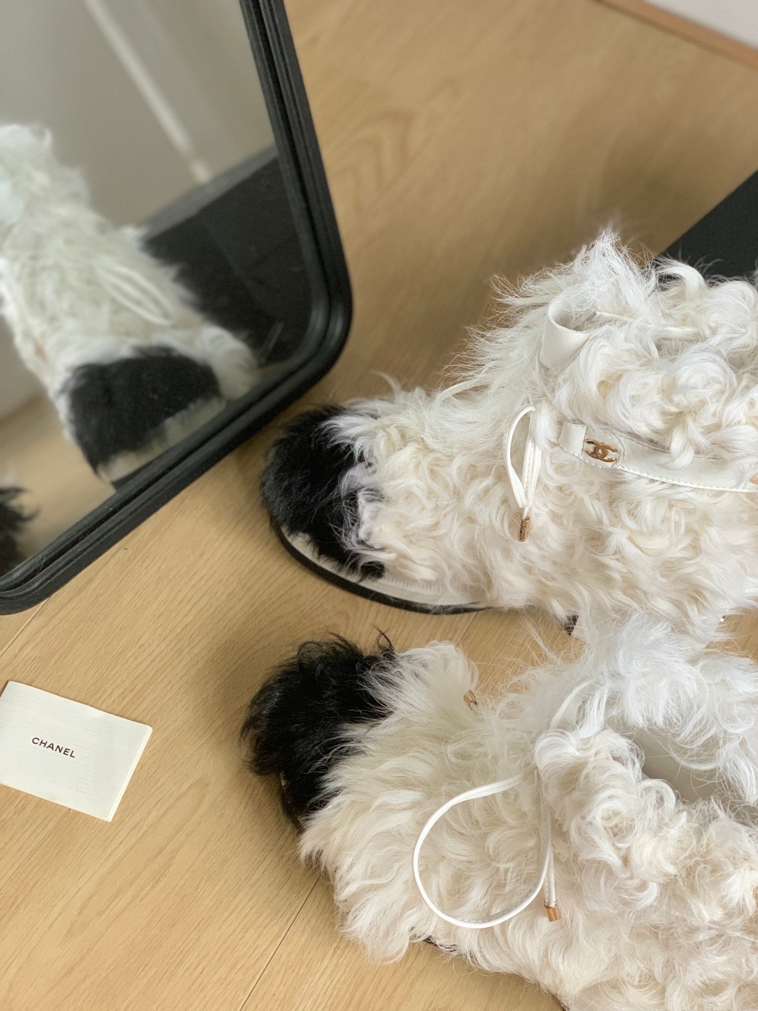 CHANEL ANKLE BOOTS IN WHITE MIX BLACK WOOL FUR